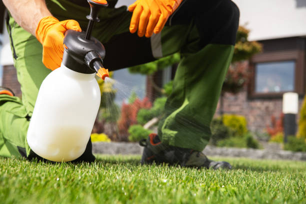 Best Exterminator Services  in Mineralwells, WV