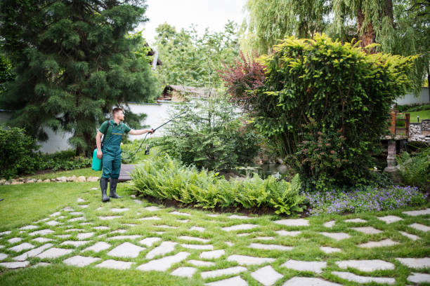 Best Best Pest Control Companies  in Mineralwells, WV
