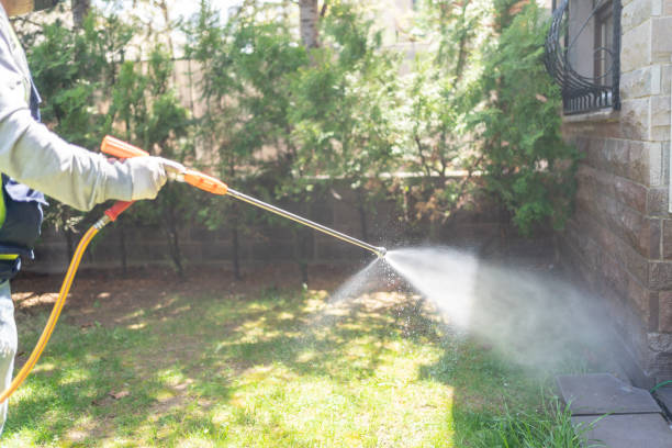 Best Pest Removal Services  in Mineralwells, WV