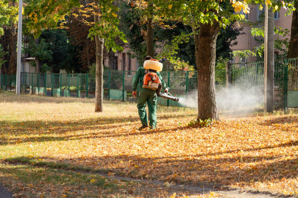 Best Exterminator Services  in Mineralwells, WV