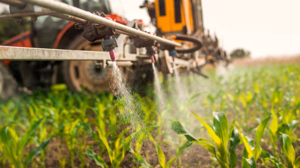 Best Ant Control Services  in Mineralwells, WV
